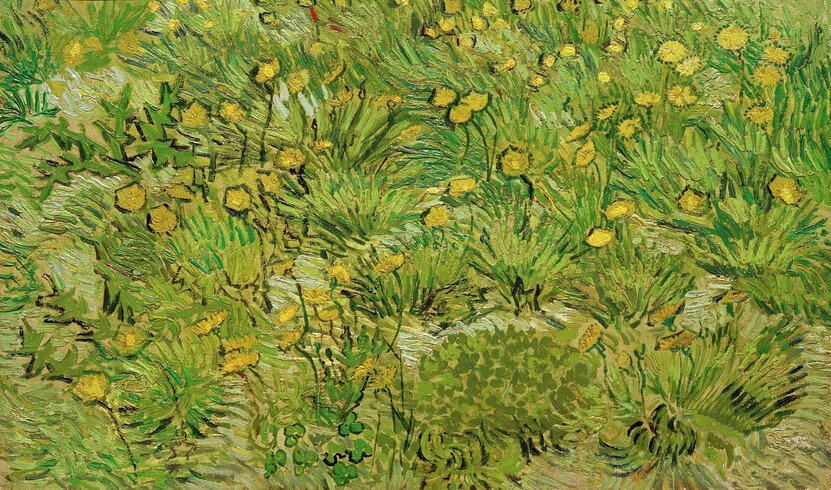 1783324698732039.jpg 蒲公英田A Field with dandelions