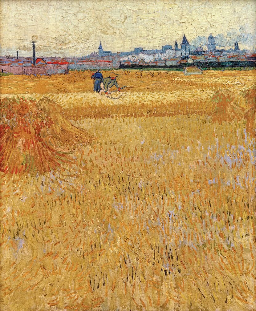 1783496176582484.jpg 从麦田看阿勒Arles View from the Wheat Fields