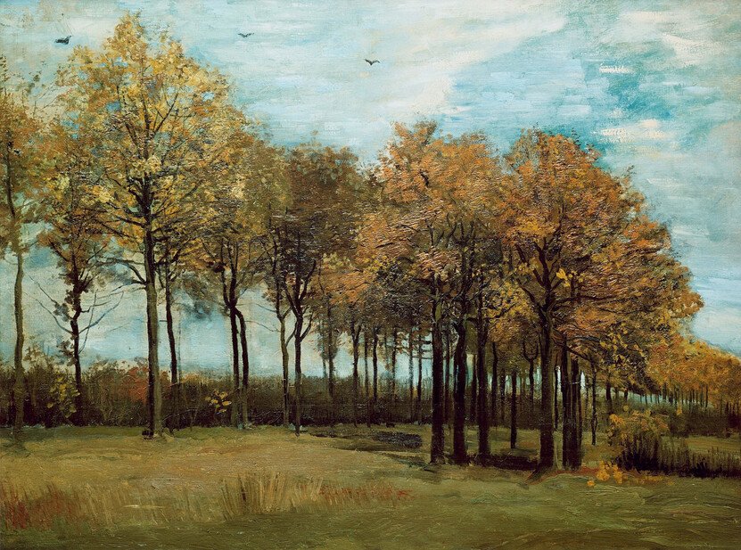 1783565950440002.jpg 秋景Autumn Landscape