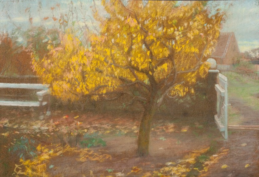 1785467106532620.jpg 梨树,秋天The pear tree, autumn