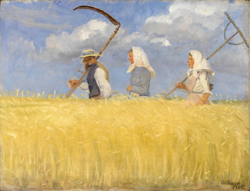 1785999677841703.jpg 收割机Harvesters