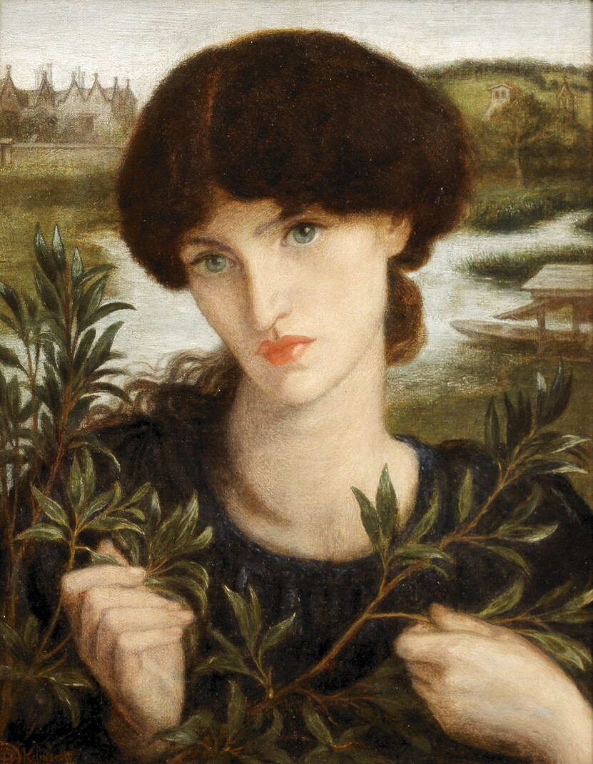 水柳Water Willow