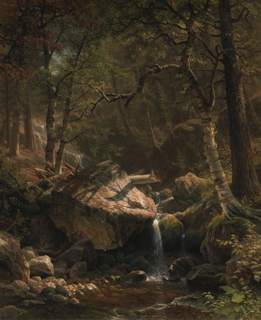 1788248215937351.jpg 山溪Mountain Brook
