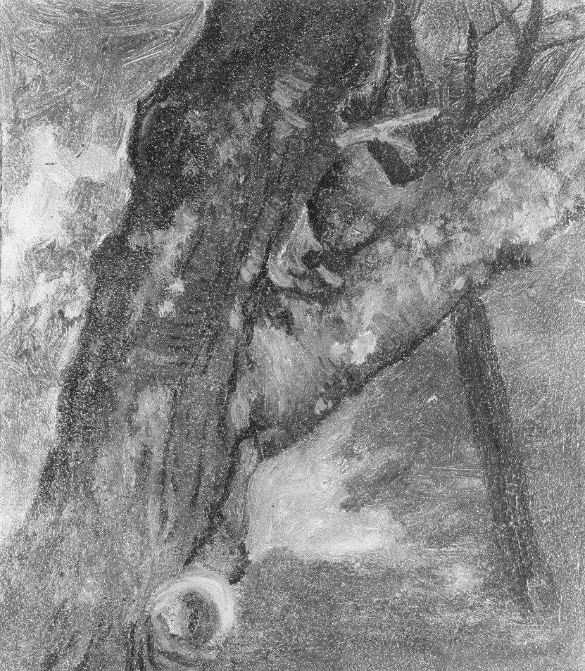一棵树的习作Study of a Tree