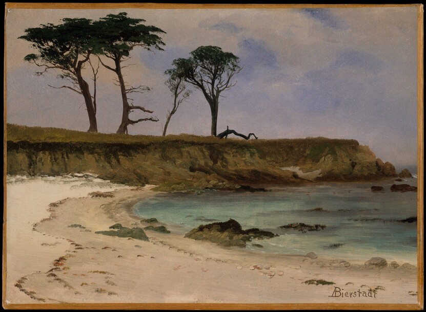 1788487846717483.jpg 海湾Sea Cove