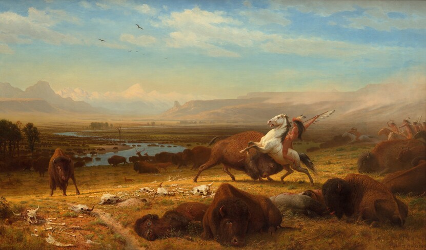 1788488247136105.jpg 最后的野牛The Last of the Buffalo