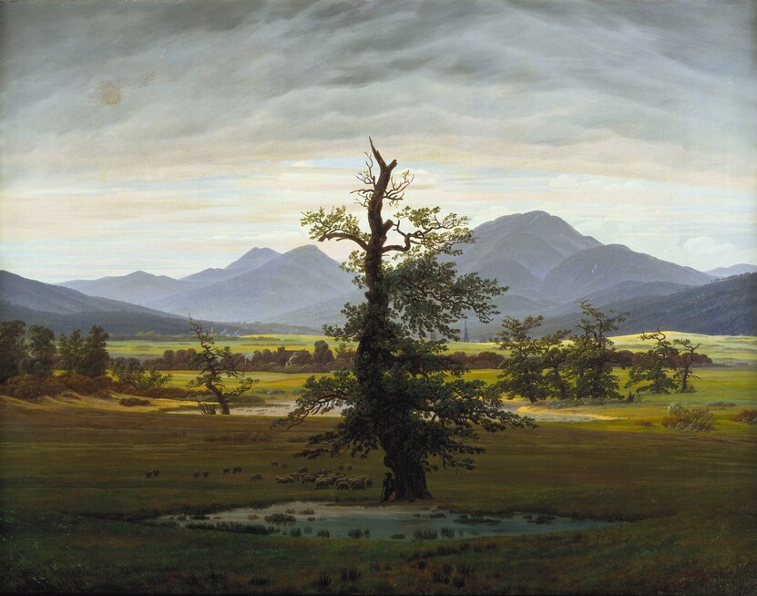 1788750769285511.jpg 孤树Solitary Tree