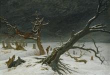 冬日风景Winter Landscape