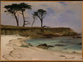 海湾Sea Cove