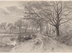 有小溪的风景Landschap met beek